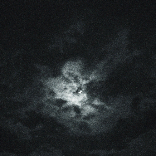 Twisted Fvcking Black